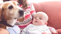 A Doglover Already | Stephanie Clement | Andover Boston MA Photography