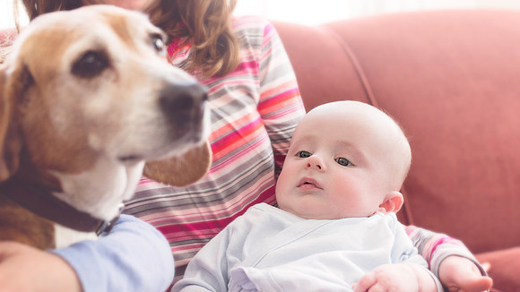 A Doglover Already | Stephanie Clement | Andover Boston MA Photography