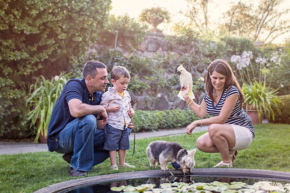 Lily Pond| Stephanie Clement | Andover Boston MA Photography