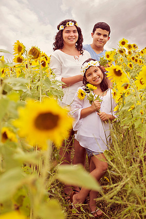 Sunflowers | Stephanie Clement | Andover Boston MA Photography