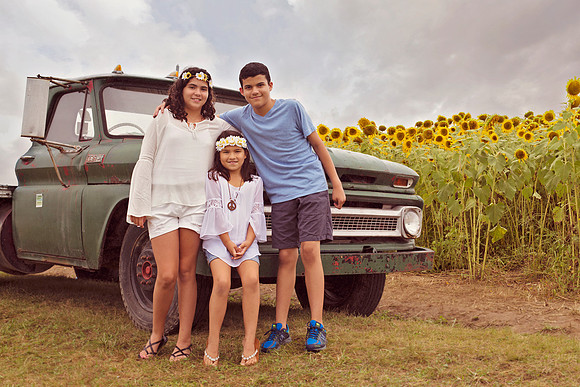 Sunflowers | Stephanie Clement | Andover Boston MA Photography